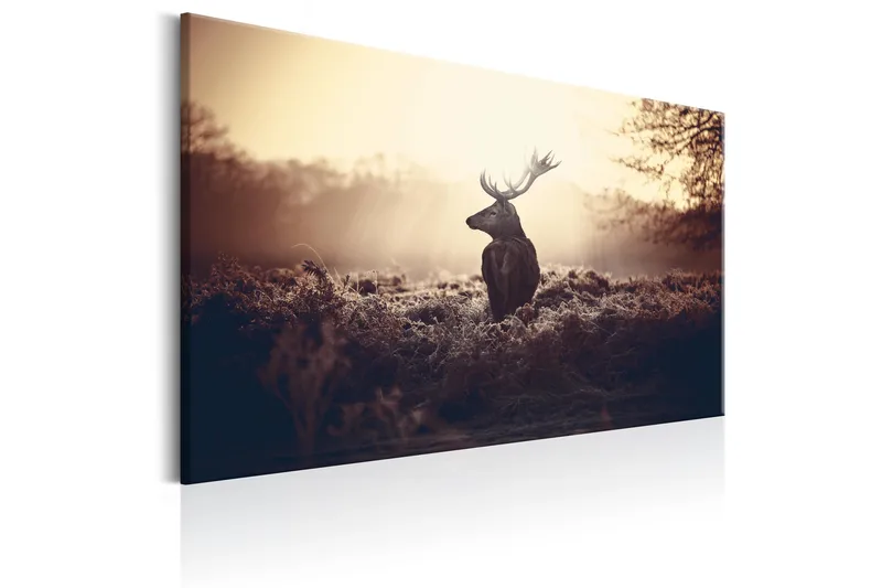 Billede Lurking Deer 90x60 - Artgeist sp. z o. o. - Boligtilbehør - Billeder & kunst - Billeder på lærred