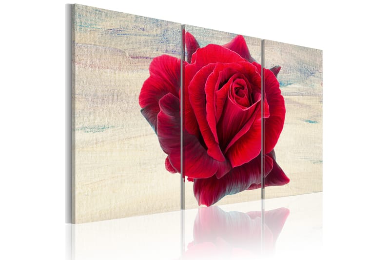 Billede Lyrical Rose 120x80, Artgeist sp. z o. o.