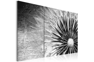 Billede Mælkebøtte Sort Og Hvidt 120x80 - Artgeist sp. z o. o. - Boligtilbehør - Billeder & kunst - Billeder på lærred
