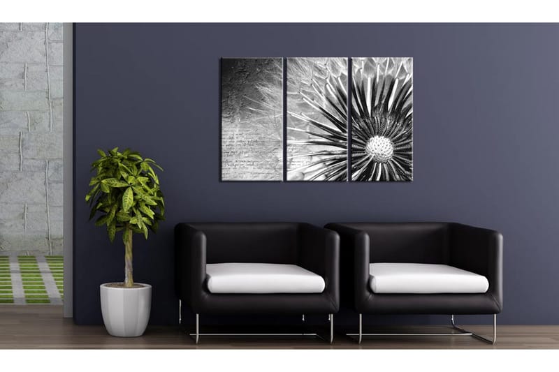 Billede Mælkebøtte Sort Og Hvidt 60x40 - Artgeist sp. z o. o. - Boligtilbehør - Billeder & kunst - Billeder på lærred