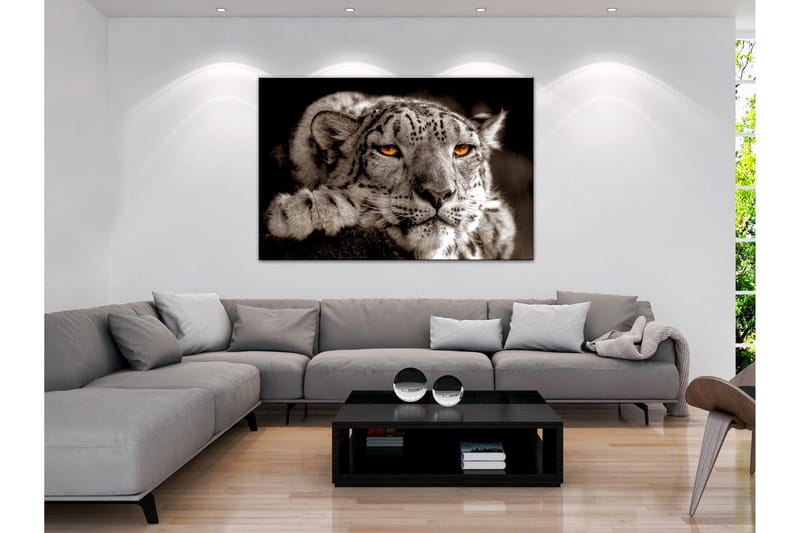 Billede Magic Eyes (1 del) Bred 90x60, Artgeist sp. z o. o.