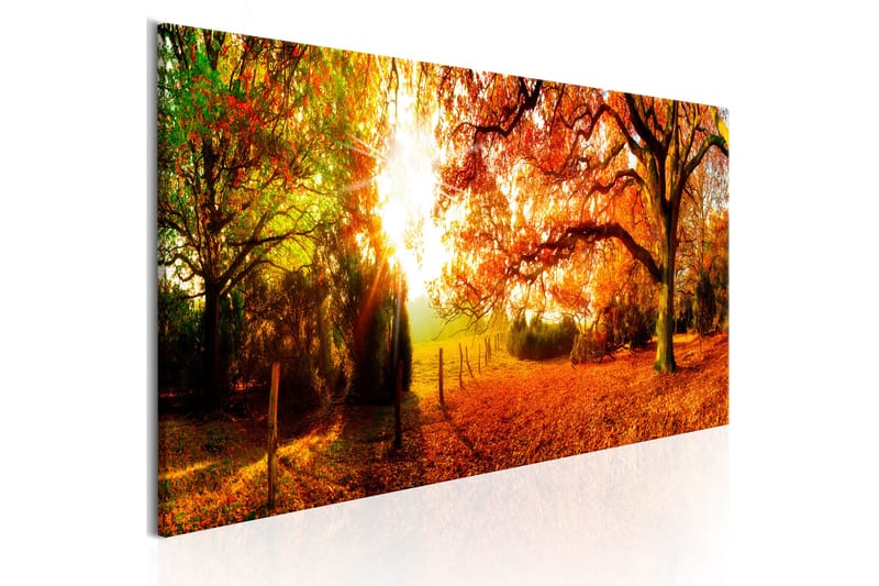 Billede Magic Of Autumn 150x50, Artgeist sp. z o. o.