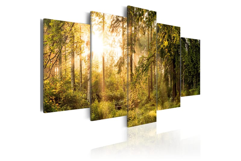 Billede Magic Of Forest 100x50, Artgeist sp. z o. o.