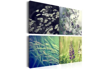 Billede Magisk Eng 40x40 - Artgeist sp. z o. o. - Boligtilbehør - Billeder & kunst - Billeder på lærred