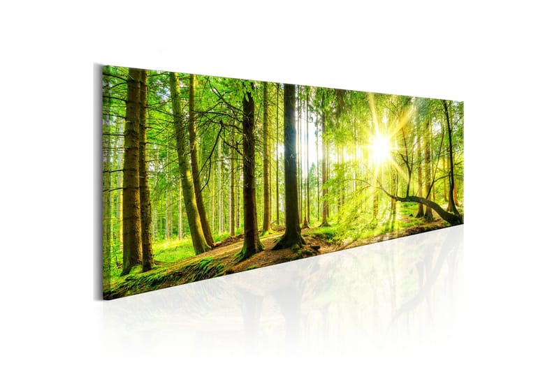 Billede Majestic Trees 135x45, Artgeist sp. z o. o.