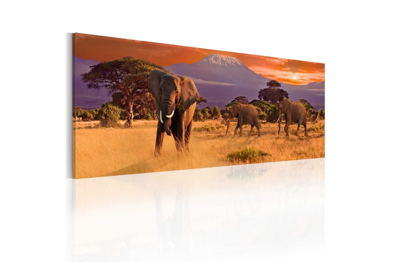 Billede March Of African Elephants 135x45, Artgeist sp. z o. o.