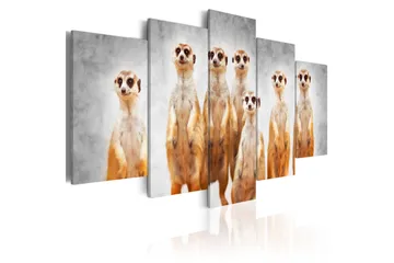 Billede Meerkats 100x50 - Artgeist sp. z o. o. - Boligtilbehør - Billeder & kunst - Billeder på lærred