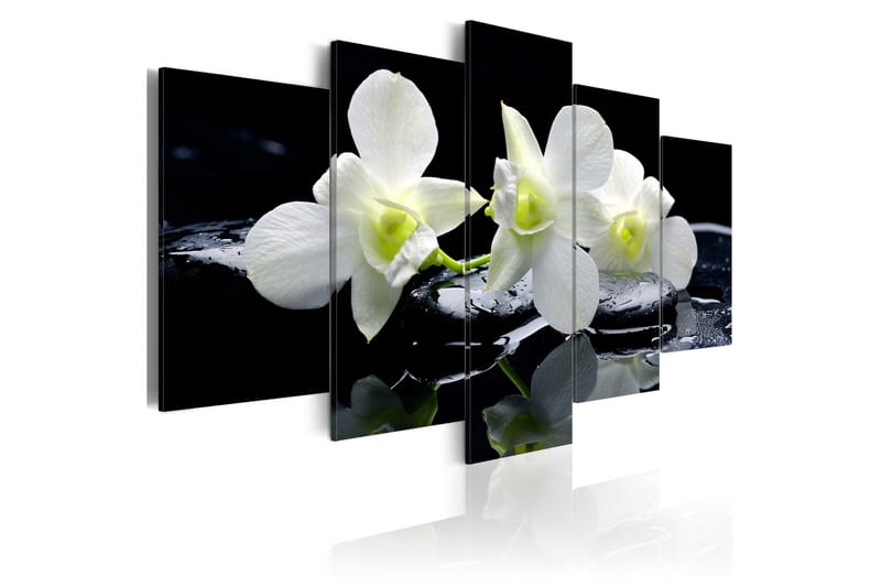 Billede Melancholic Orchids 200x100, Artgeist sp. z o. o.