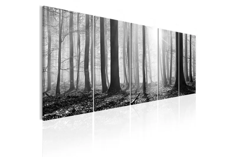 Billede Monochrome Forest 200x80, Artgeist sp. z o. o.