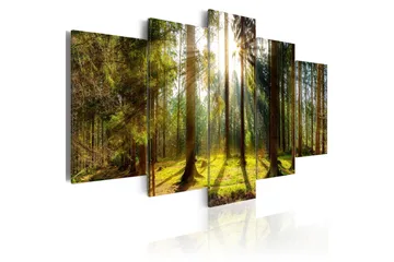Billede Morning Awakening 100x50 - Artgeist sp. z o. o. - Boligtilbehør - Billeder & kunst - Billeder på lærred