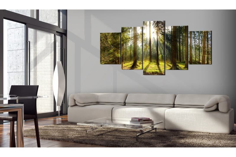 Billede Morning Awakening 200x100 - Artgeist sp. z o. o. - Boligtilbehør - Billeder & kunst - Billeder på lærred