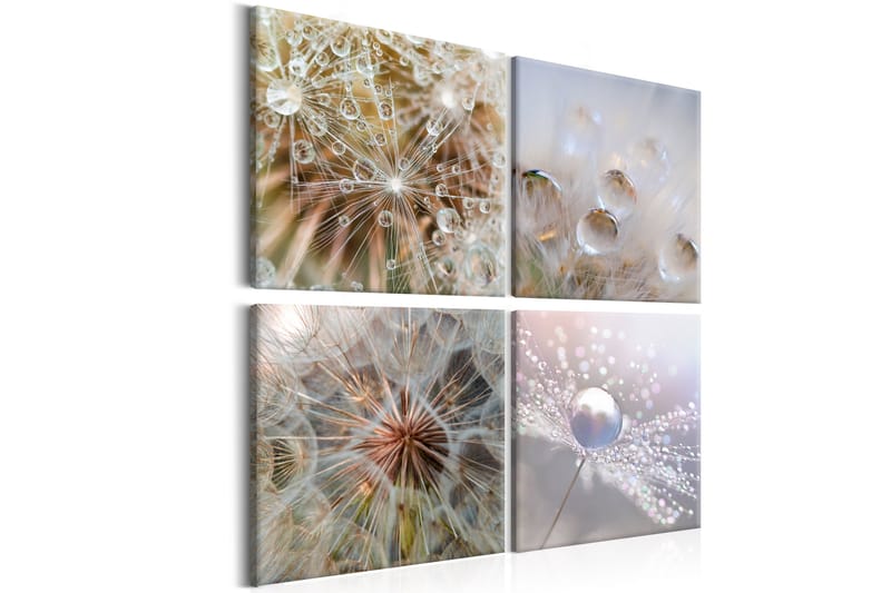 Billede Morning Glow 40x40, Artgeist sp. z o. o.