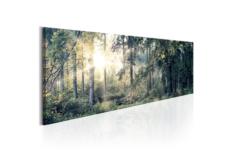 Billede Morning Magic 150x50, Artgeist sp. z o. o.