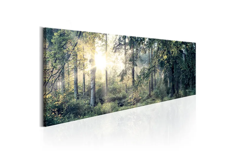 Billede Morning Magic 150x50, Artgeist sp. z o. o.
