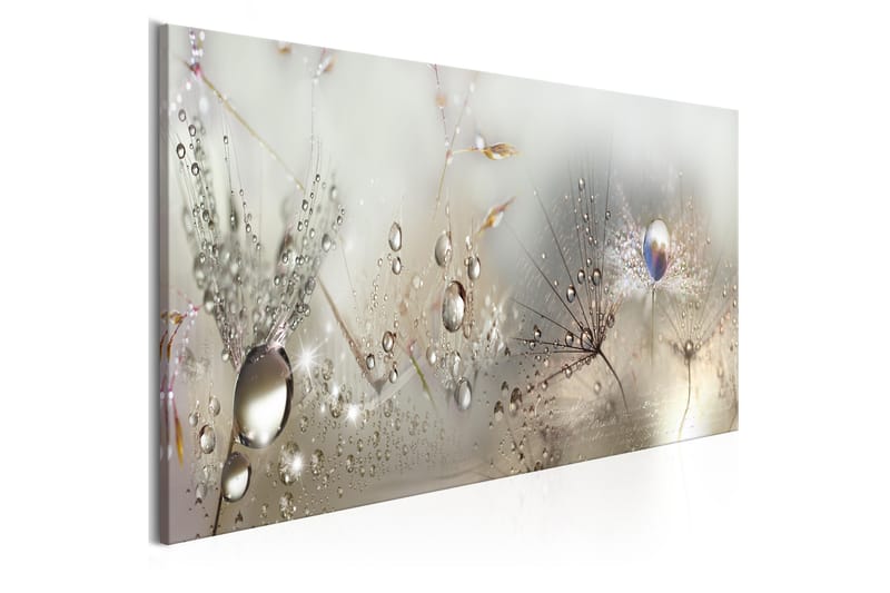 Billede Morning Song 120x40, Artgeist sp. z o. o.