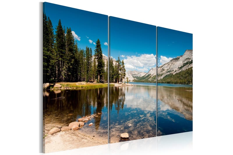Billede Mountains Trees And Pure Lake 60x40, Artgeist sp. z o. o.