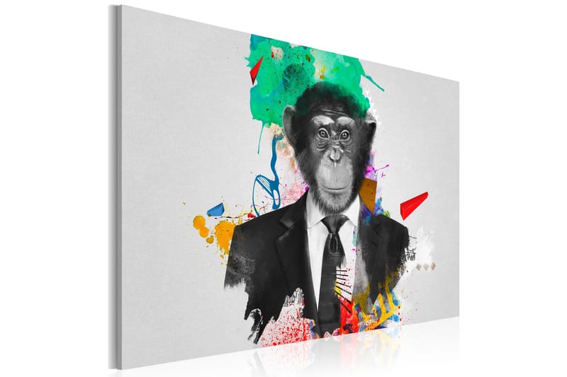 Billede Mr Monkey 60x40, Artgeist sp. z o. o.