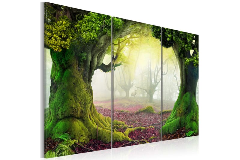 Billede Mysterious forest triptych 90x60, Artgeist sp. z o. o.