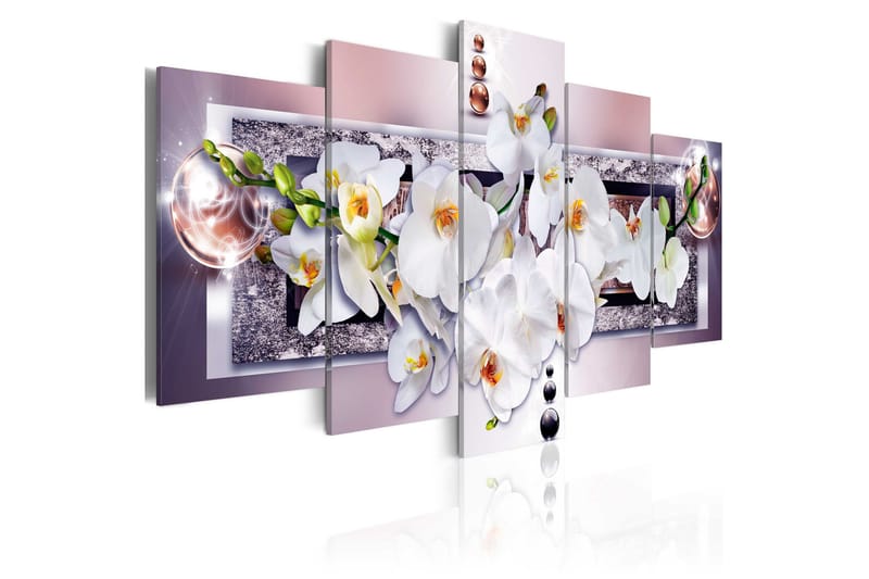 Billede Mysterious Orchid 100x50, Artgeist sp. z o. o.