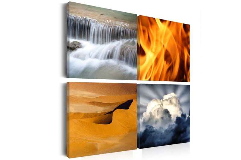 Billede naturens mangfoldighed 60x60, Artgeist sp. z o. o.