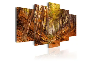 Billede Orange Autumn 100x50 - Artgeist sp. z o. o. - Boligtilbehør - Billeder & kunst - Billeder på lærred
