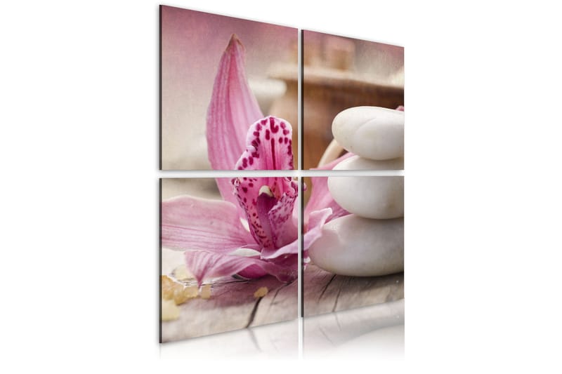 Billede Orchid & zen 60x60, Artgeist sp. z o. o.