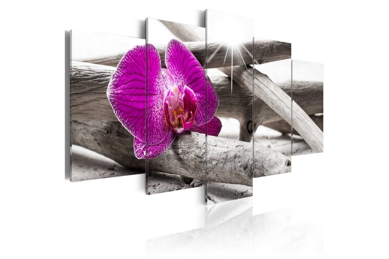 Billede Orchid On Beach 200x100, Artgeist sp. z o. o.