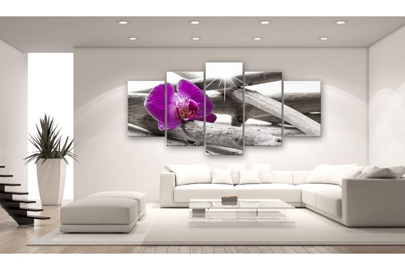 Billede Orchid On Beach 200x100 - Artgeist sp. z o. o. - Boligtilbehør - Billeder & kunst - Billeder på lærred