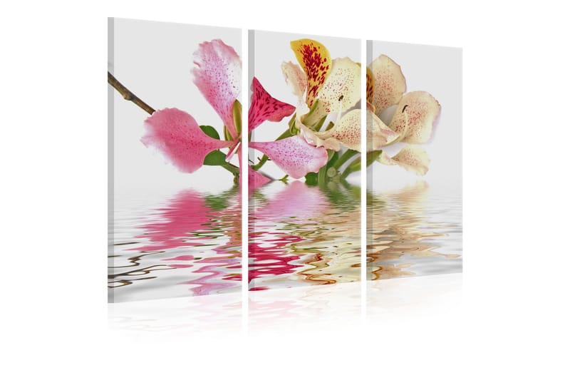 Billede Orchid With Colorful Spots 60x40, Artgeist sp. z o. o.