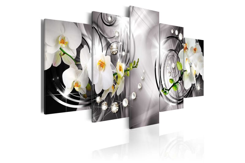 Billede Orchid Pearls And Diamonds 200x100, Artgeist sp. z o. o.