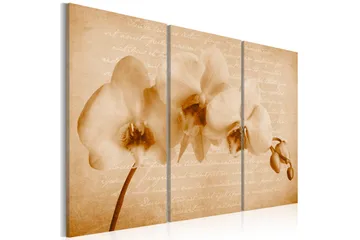 Billede Orkidé Vintage 120x80 - Artgeist sp. z o. o. - Boligtilbehør - Billeder & kunst - Billeder på lærred