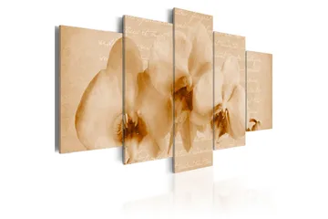 Billede Orkidéer 100x50 - Artgeist sp. z o. o. - Boligtilbehør - Billeder & kunst - Billeder på lærred