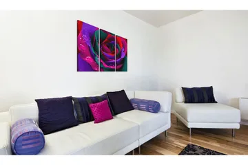 Billede Rainbow-Farvede Rose 60x40 - Artgeist sp. z o. o. - Boligtilbehør - Billeder & kunst - Billeder på lærred