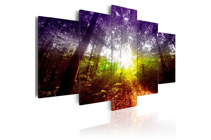 Billede Rainbow Forest 100x50, Artgeist sp. z o. o.