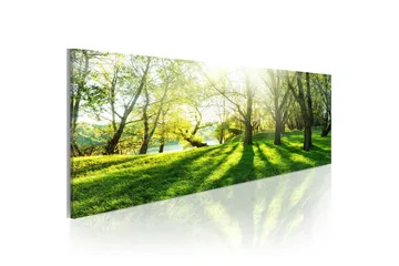 Billede Rays Of Sunshine 120x40 - Artgeist sp. z o. o. - Boligtilbehør - Billeder & kunst - Billeder på lærred