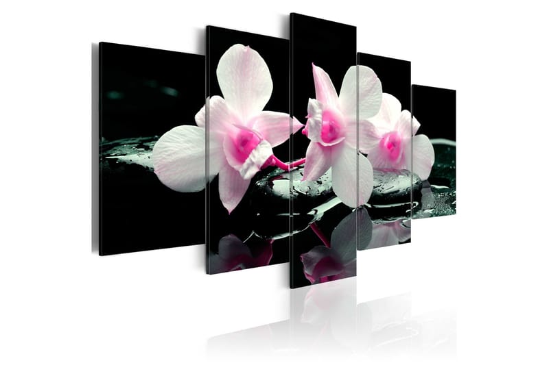 Billede Rest Of Orchids 100x50, Artgeist sp. z o. o.