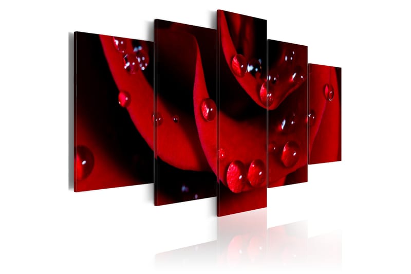 Billede Rose With Dew 100x50, Artgeist sp. z o. o.