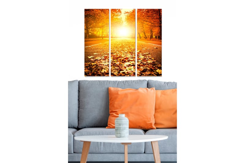 Billede Scenic 3 stk Flerfarvet - 22x05 cm - Boligtilbehør - Billeder & kunst - Billeder på lærred