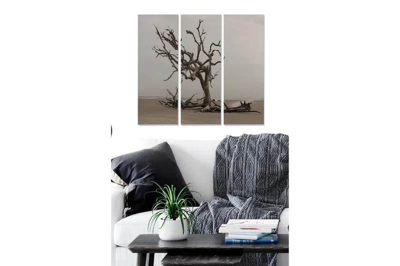 Billede Scenic 3 stk Flerfarvet, 22x05 cm