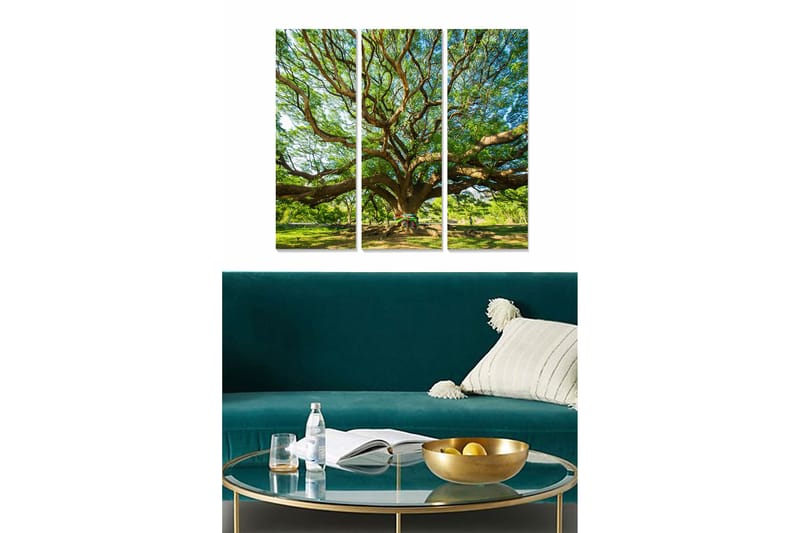 Billede Scenic 3 stk Flerfarvet, 22x05 cm