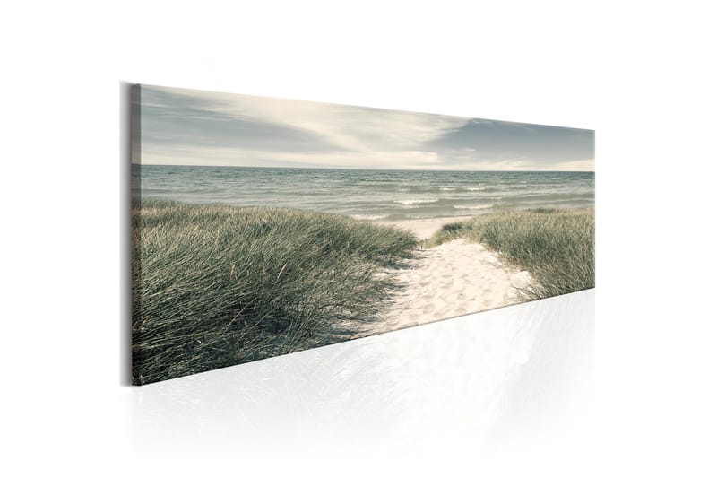 Billede Secrets Of The Sea 150x50, Artgeist sp. z o. o.