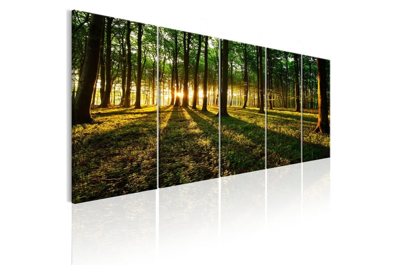 Billede Shade Of Trees 225x90, Artgeist sp. z o. o.