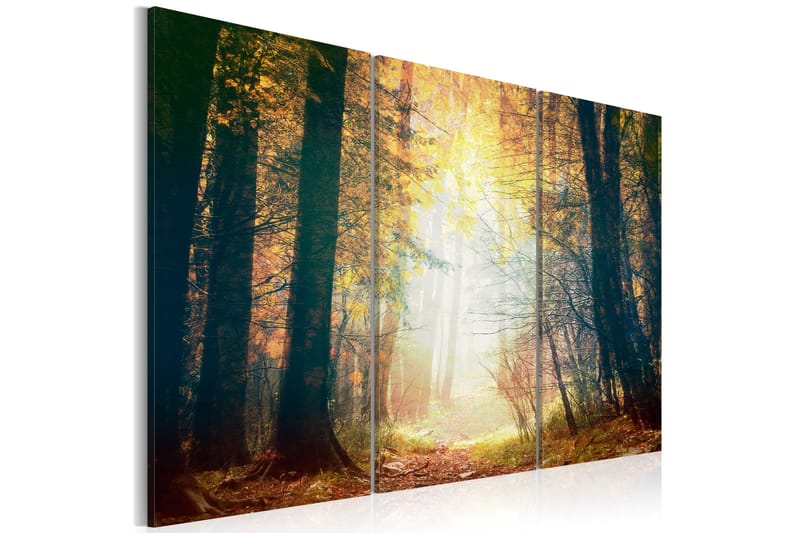 Billede Skønheden Efterår Triptych 120x80, Artgeist sp. z o. o.