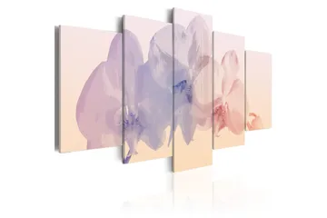 Billede Skrøbelig Skønhed 100x50 - Artgeist sp. z o. o. - Boligtilbehør - Billeder & kunst - Billeder på lærred