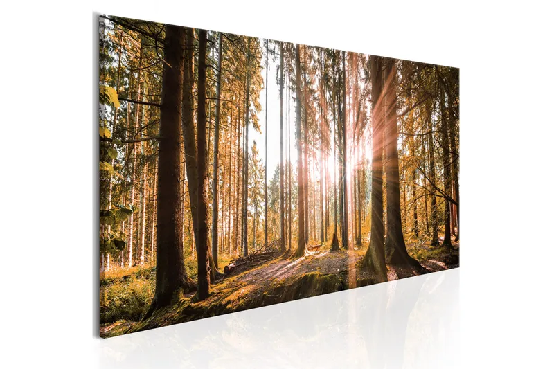 Billede Small Natural Wonders 150x50, Artgeist sp. z o. o.
