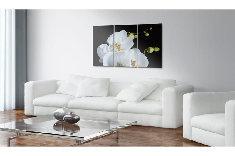 Billede Sne Orkidé 60x40 - Artgeist sp. z o. o. - Boligtilbehør - Billeder & kunst - Billeder på lærred