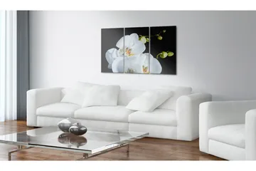 Billede Snerad orkidé 90x60 - Artgeist sp. z o. o. - Boligtilbehør - Billeder & kunst - Billeder på lærred