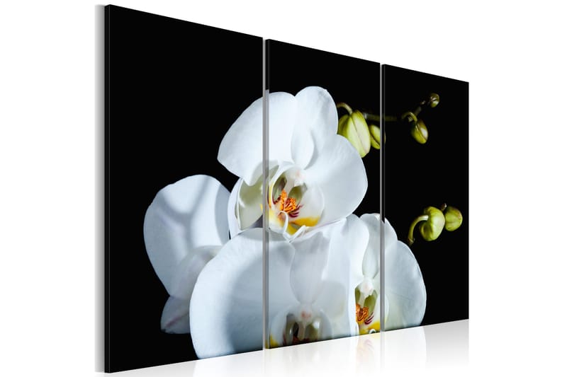 Billede Snerad orkidé 90x60, Artgeist sp. z o. o.