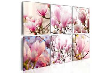 Billede Southern Magnolias 60x40 - Artgeist sp. z o. o. - Boligtilbehør - Billeder & kunst - Billeder på lærred