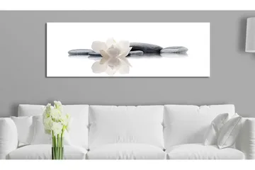 Billede Spa Beauty And Relaxation 150x50 - Artgeist sp. z o. o. - Boligtilbehør - Billeder & kunst - Billeder på lærred